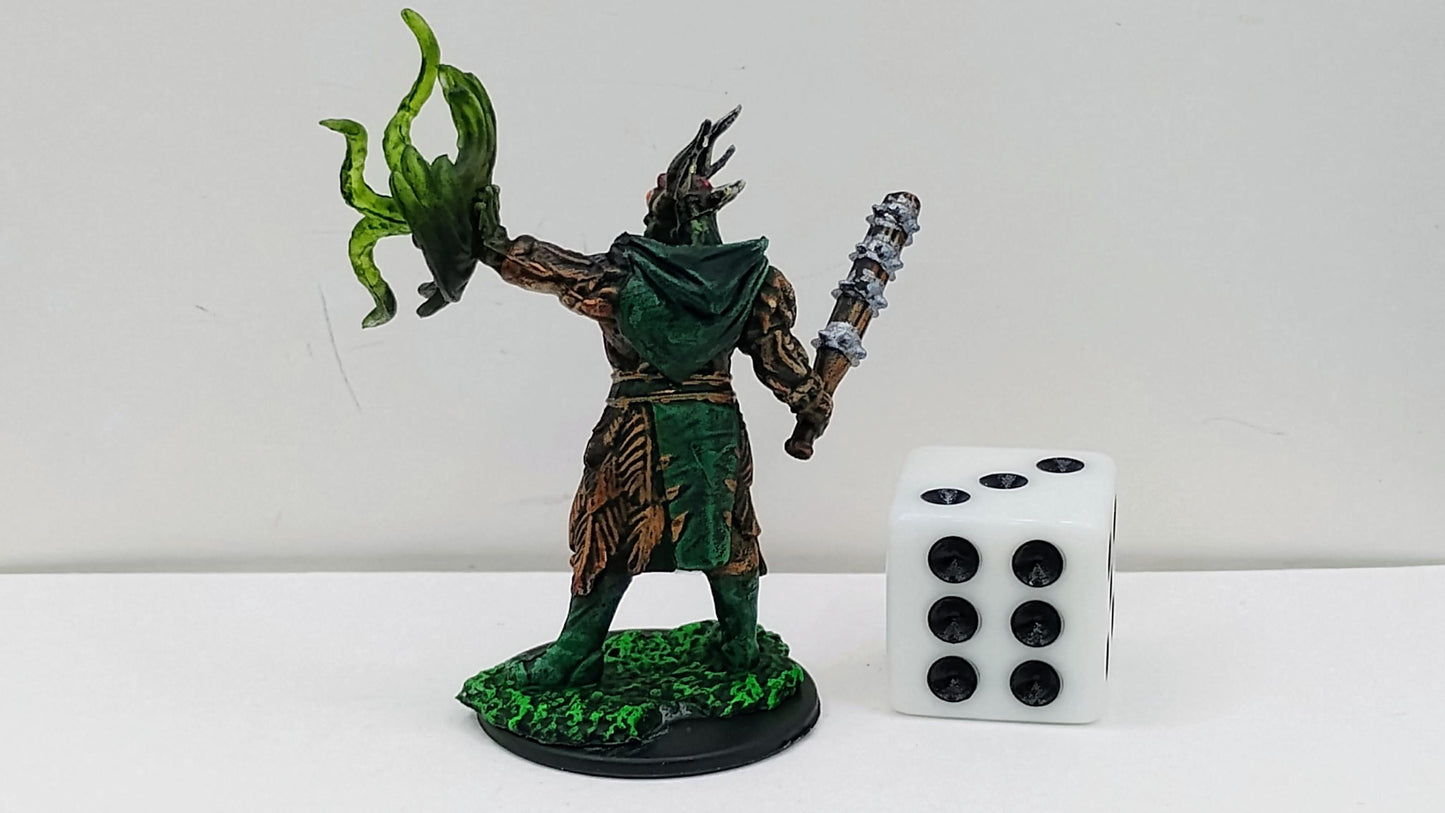 Half-Orc Druid: Antler Crown, Vine Whip, Wrath of the Wilds