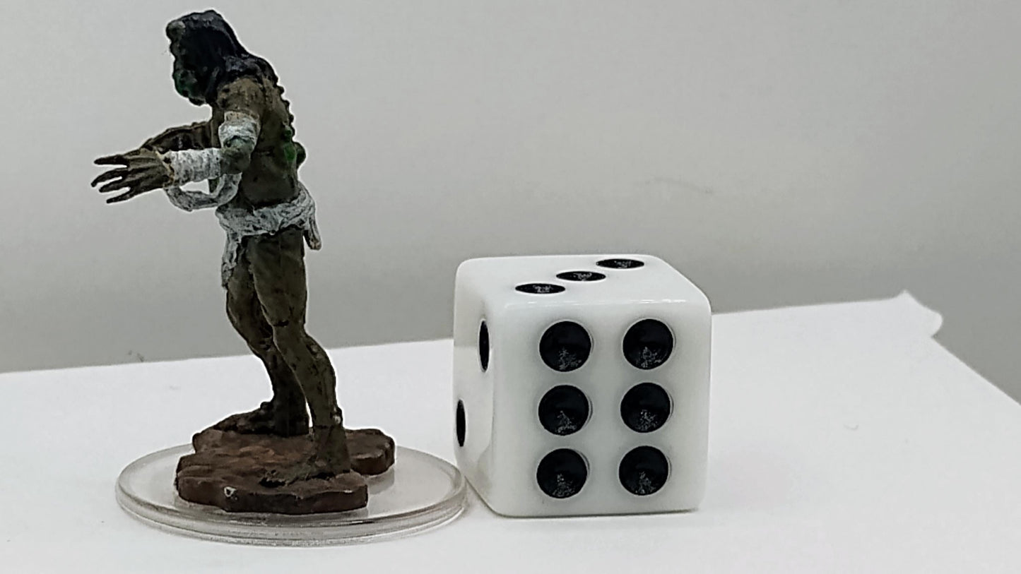 Husk Zombie Miniature: Putrid Undead Monster