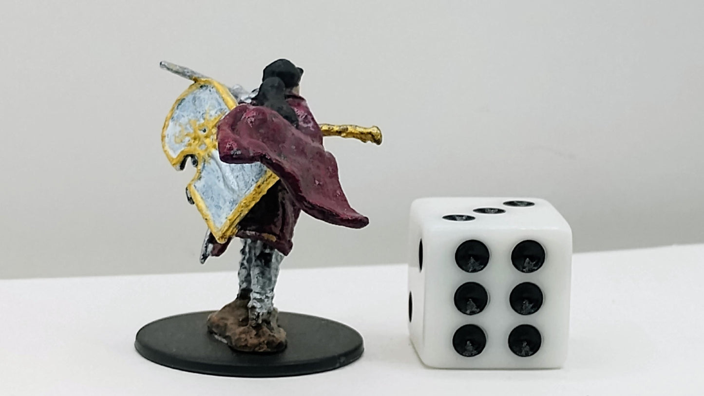 Human Paladin Miniature: Gleaming Armor, Righteous Authority