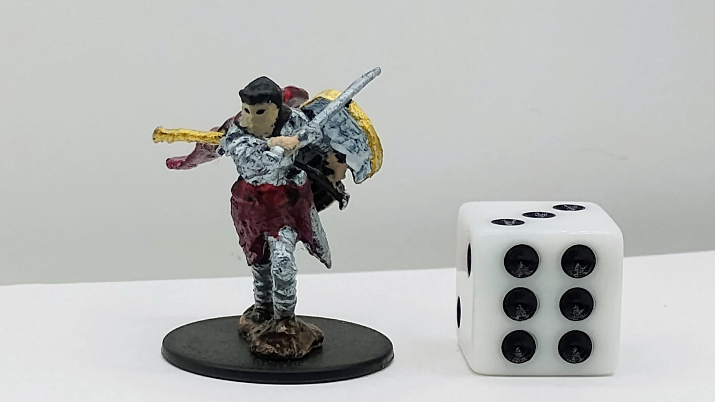 Human Paladin Miniature: Gleaming Armor, Righteous Authority