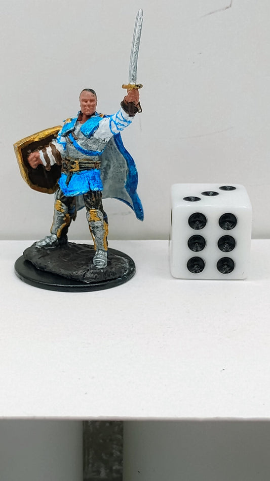 Human Paladin Miniature: Silver & Blue, Golden Shield