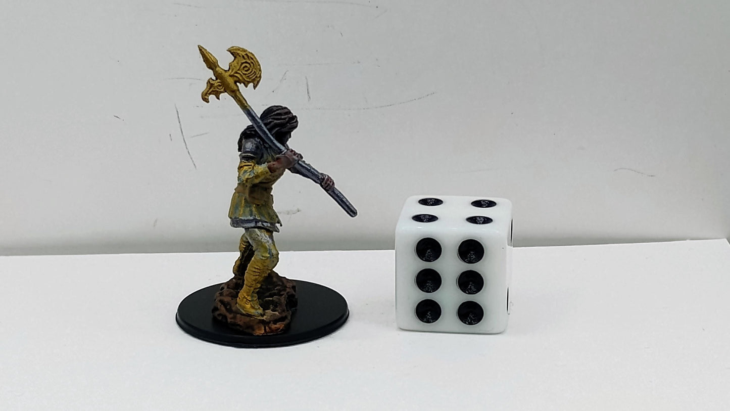 Human Paladin Miniature: Gold Armor, Spear, Divine Warrior