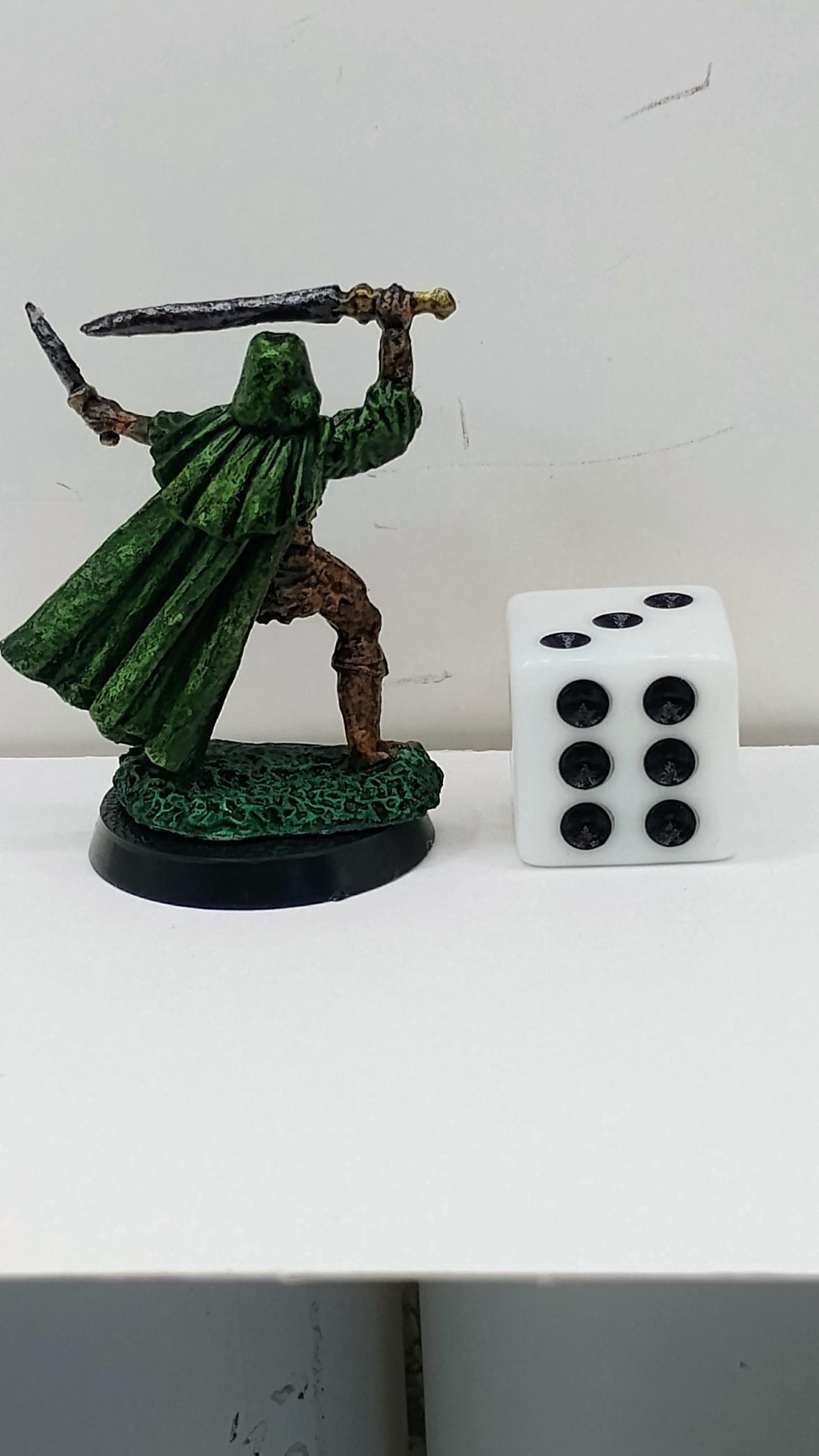 Green Cloaked Human Warrior: Twin Blades of Fury