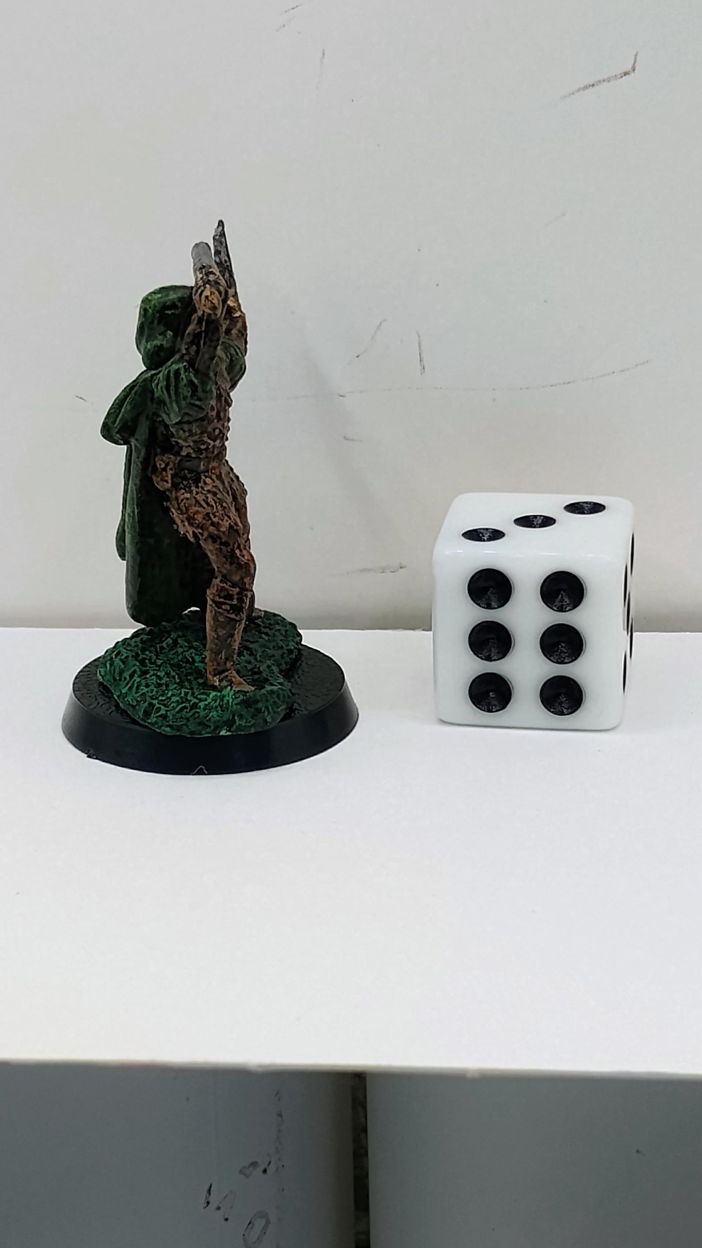 Green Cloaked Human Warrior: Twin Blades of Fury