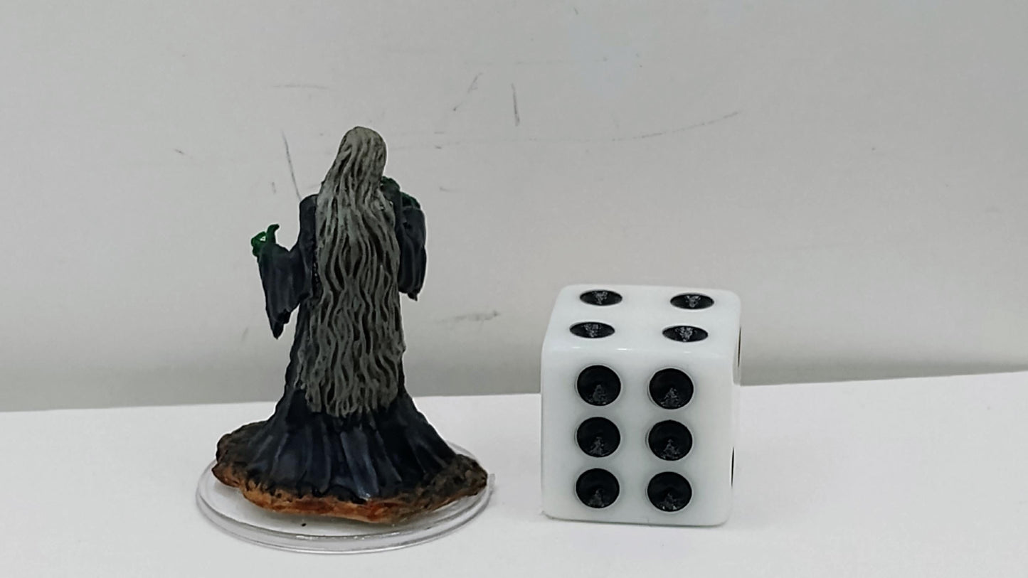 Green Hag Miniature: Emerald Claws, Curses & Illusions