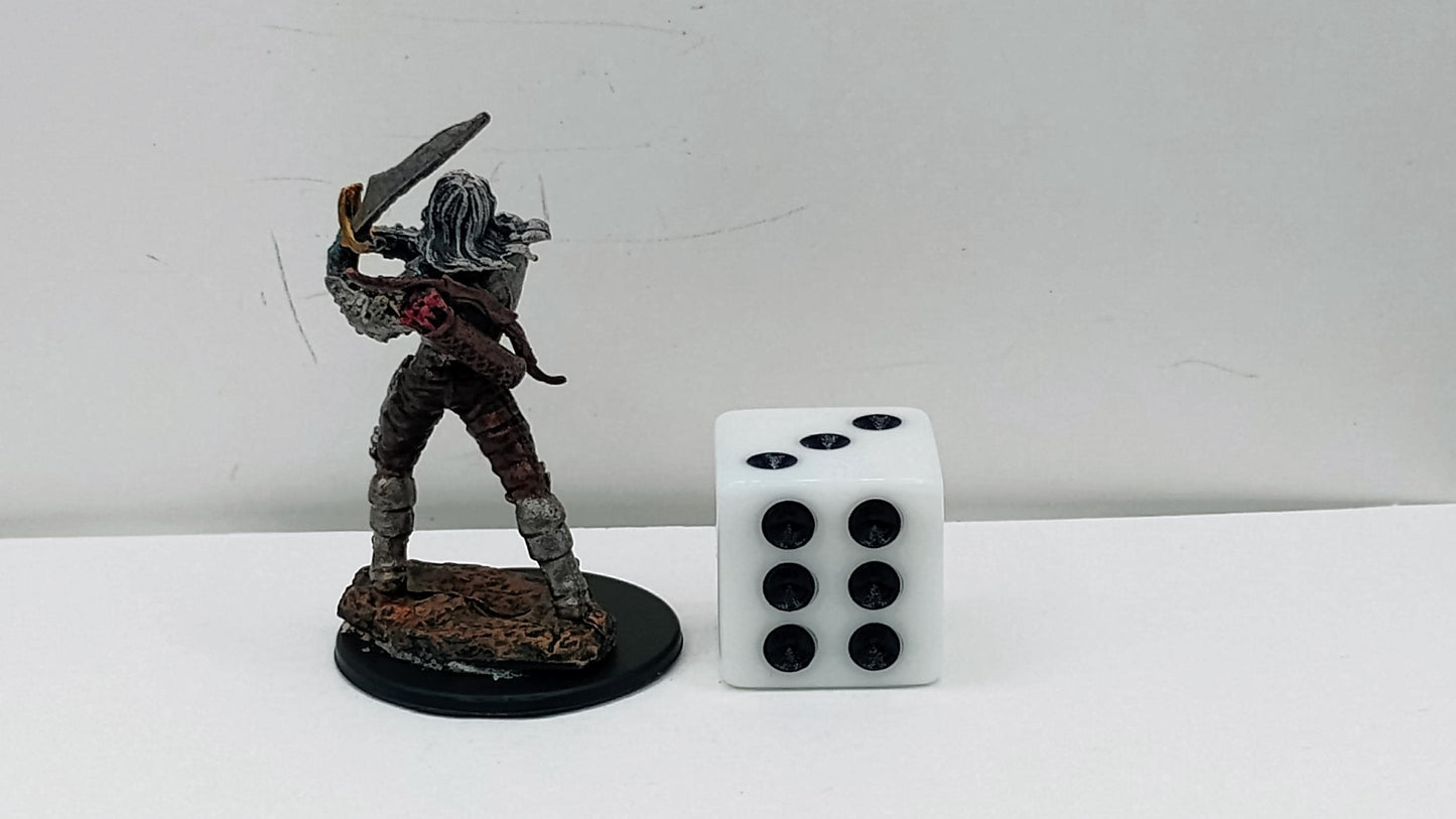 Undead Wight Miniature: Cursed Warrior Sentinel