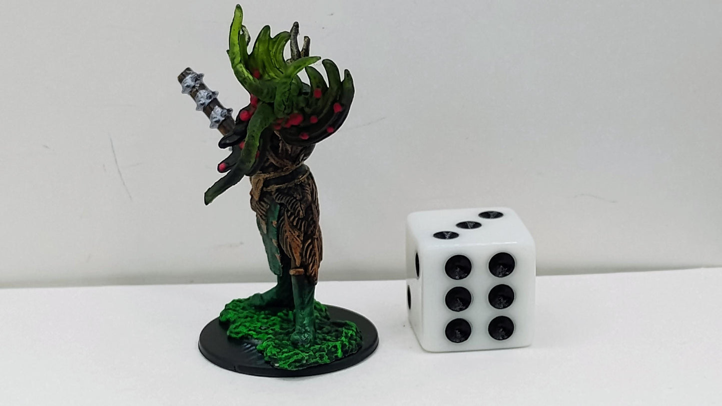 Half-Orc Druid: Antler Crown, Vine Whip, Wrath of the Wilds