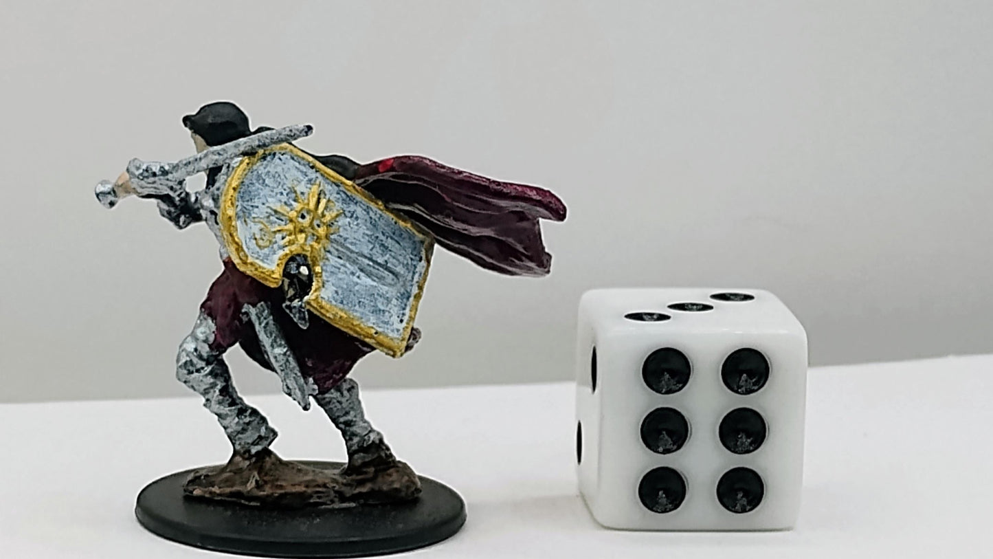 Human Paladin Miniature: Gleaming Armor, Righteous Authority
