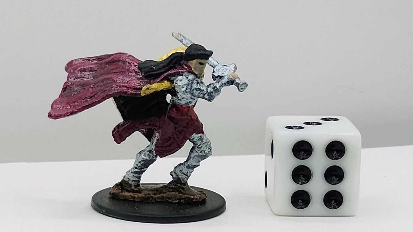 Human Paladin Miniature: Gleaming Armor, Righteous Authority