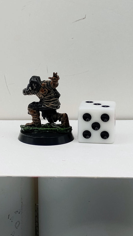 Human Rogue Miniature: Dungeons and Dragons RPG