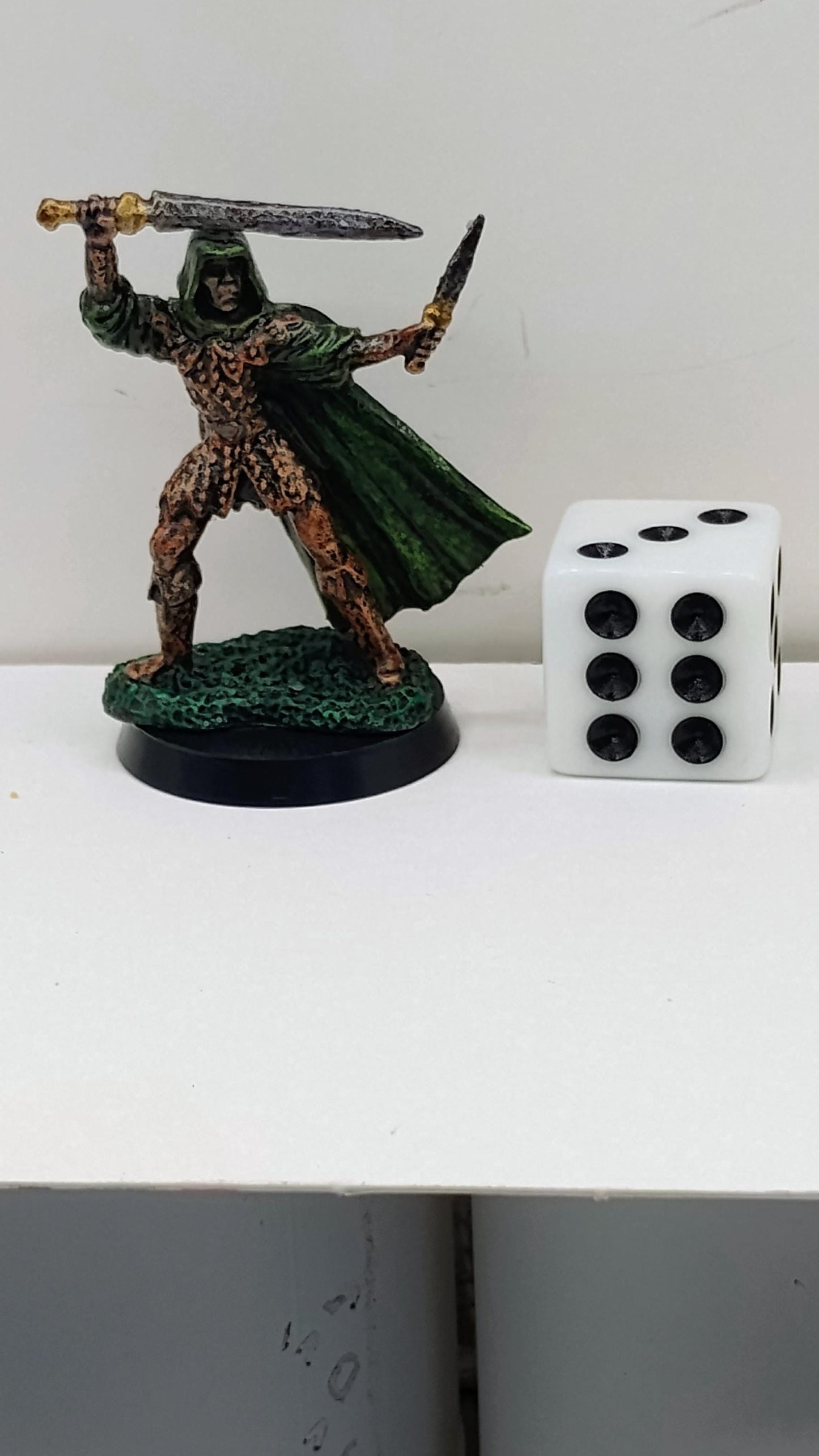 Green Cloaked Human Warrior: Twin Blades of Fury