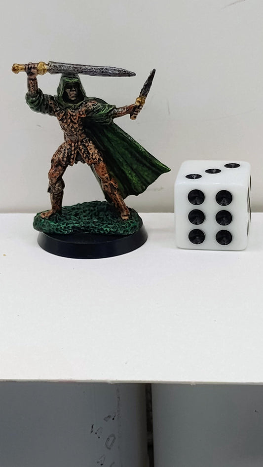 Green Cloaked Human Warrior: Twin Blades of Fury