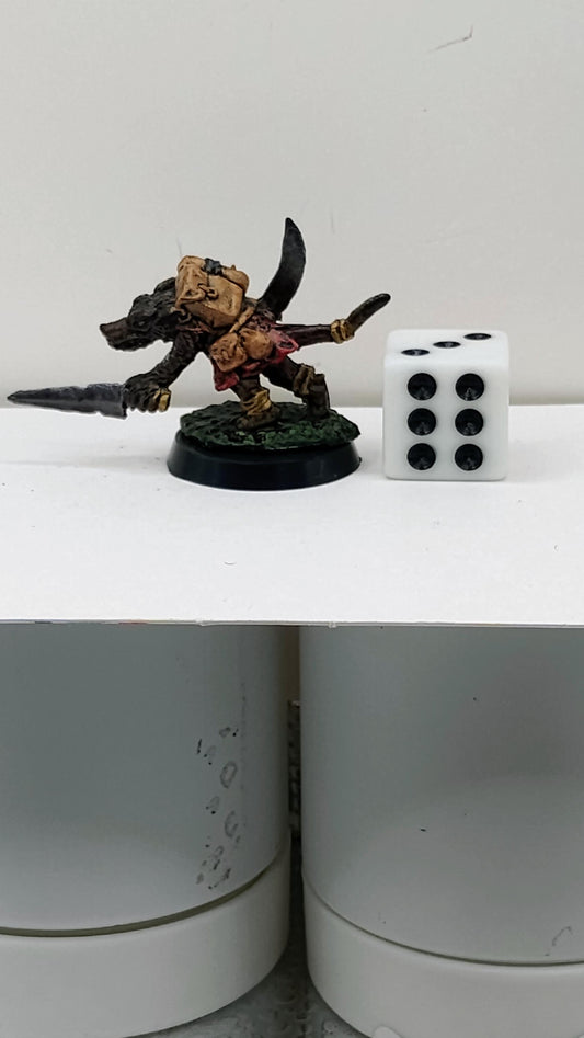 Wolfkin Rogue Miniature: Twin Daggers, Untamed Ferocity