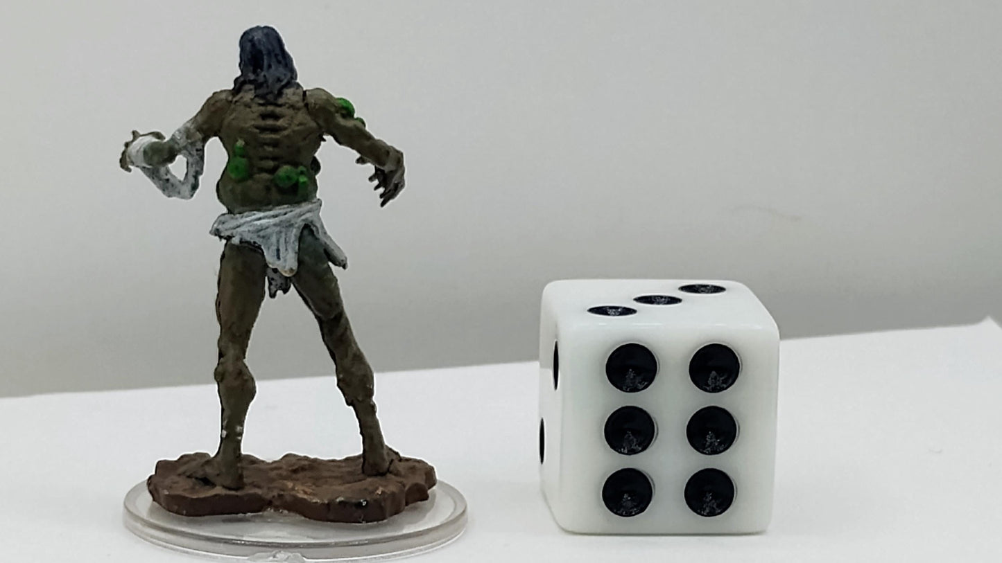 Husk Zombie Miniature: Putrid Undead Monster