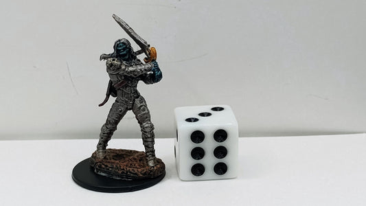 Undead Wight Miniature: Cursed Warrior Sentinel