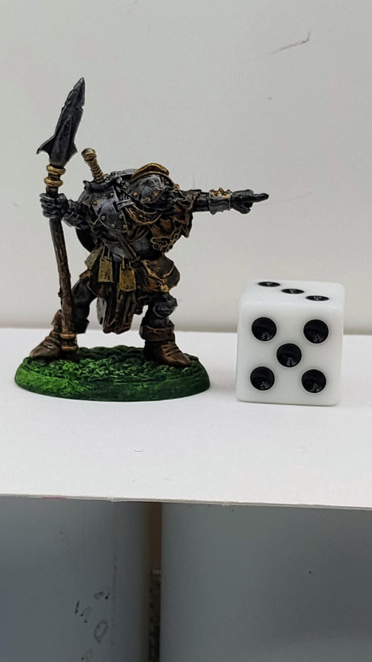 Orc Leader: Grim Dark Armor, Massive Sword