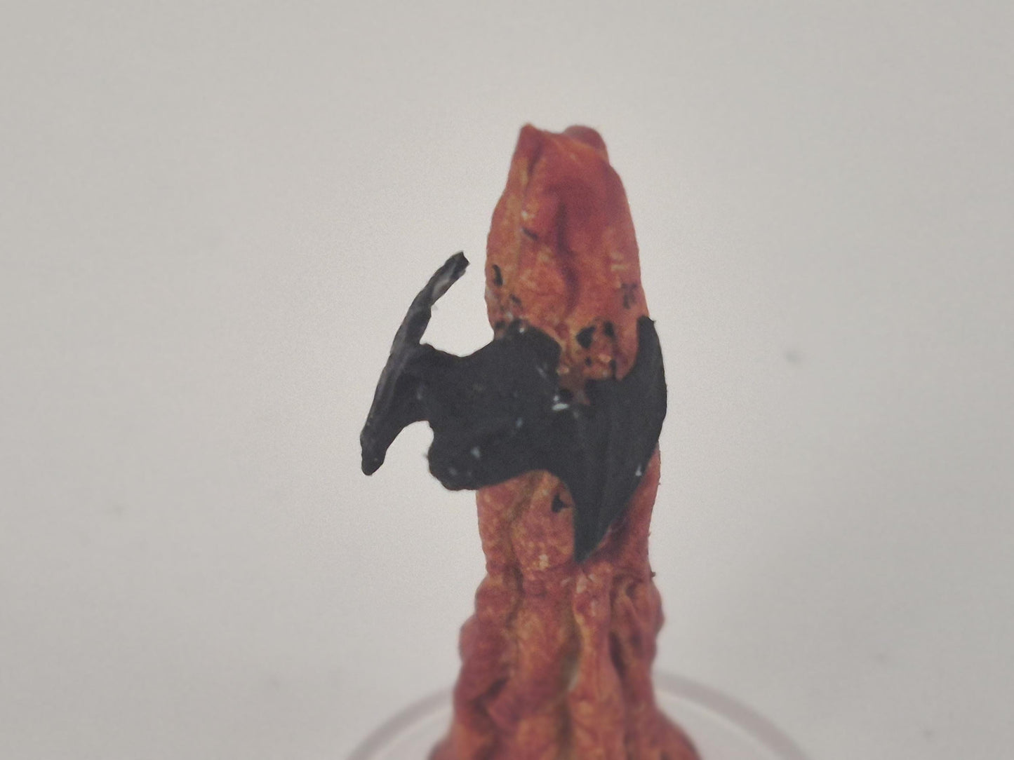 Black Bat Art Print: Gothic Home Decor